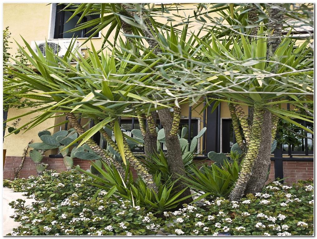 Hotel Veronese Cerignola Exterior photo